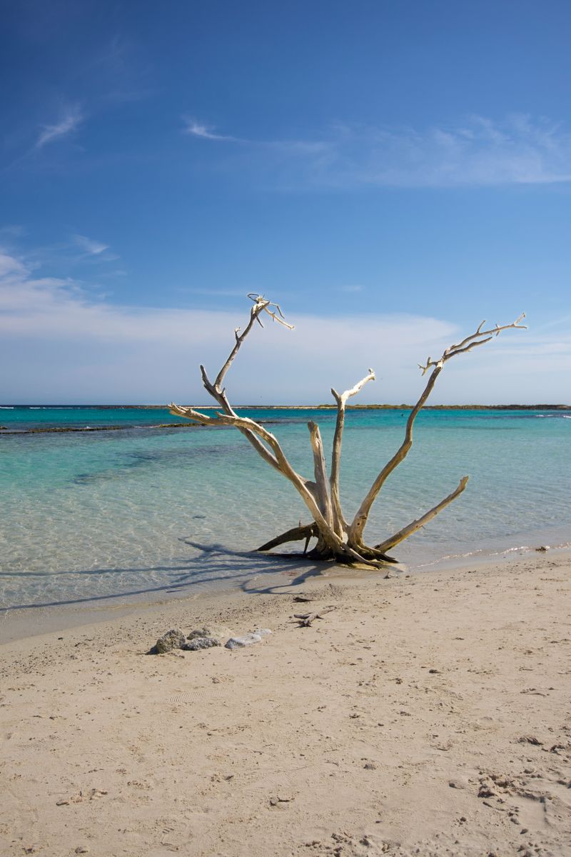 Aguas turquesa de Aruba
