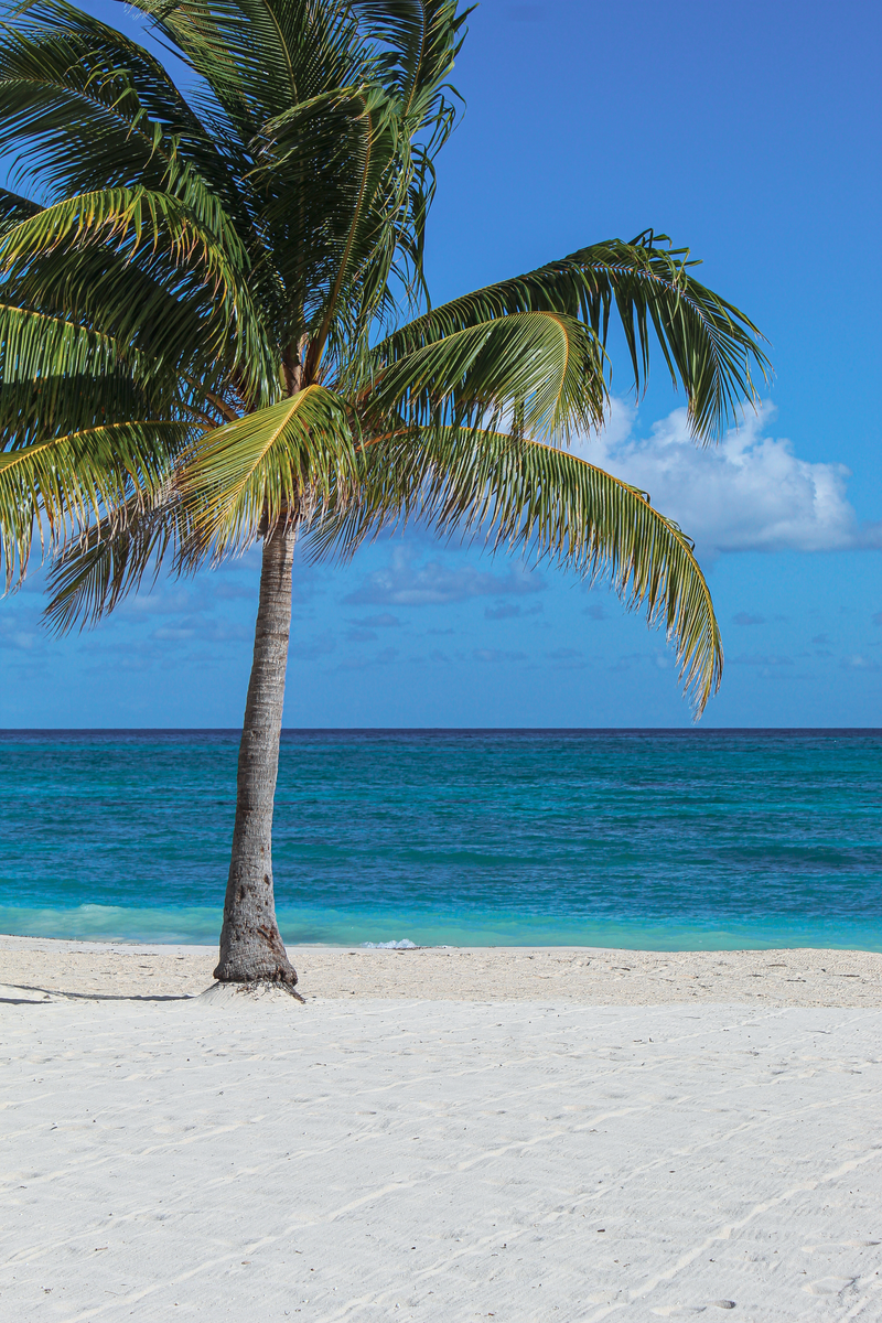 Costa tropical de Jamaica
